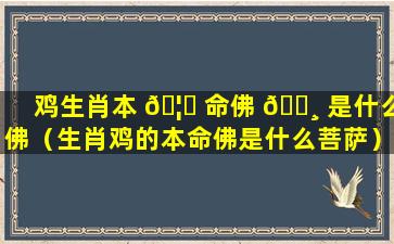 鸡生肖本 🦋 命佛 🕸 是什么佛（生肖鸡的本命佛是什么菩萨）